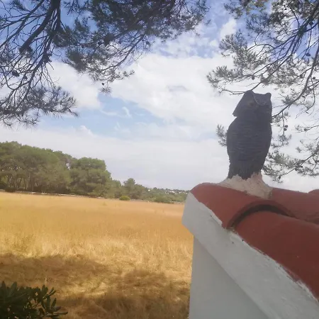 Appartement Es Pins Cala Blanca (Menorca)