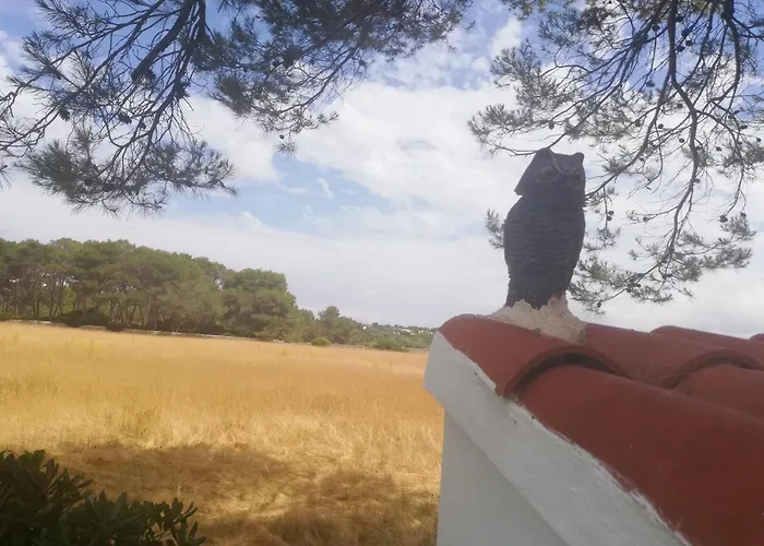 شقة Es Pins كالا بلانكا